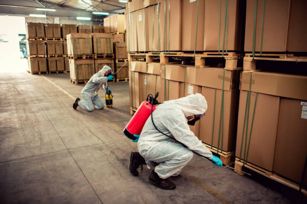 Best Ant Control Services  in Fulton, MS