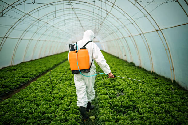 Best Affordable Pest Control Services  in Fulton, MS