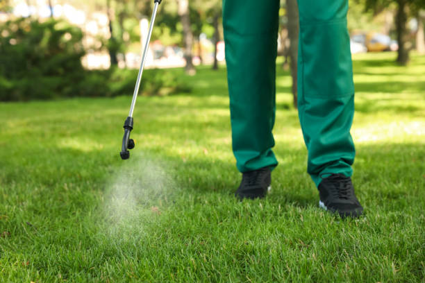 Best Cockroach Control Services  in Fulton, MS