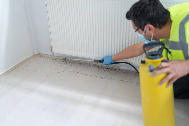 Best Pest Prevention Services  in Fulton, MS