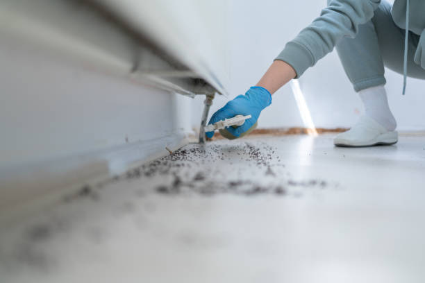 Best Best Pest Control Companies  in Fulton, MS
